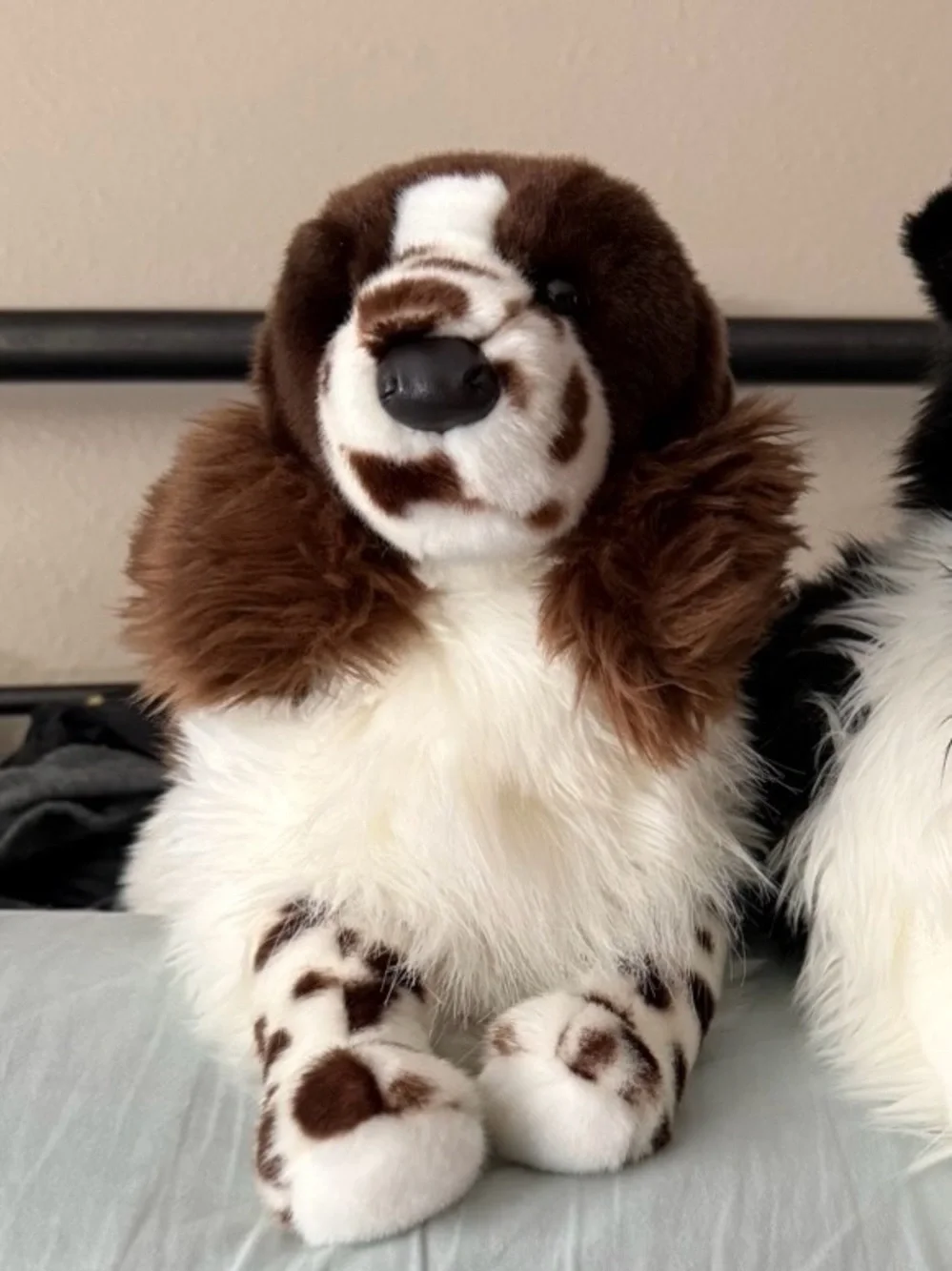 Bass Pro Douglas Spaniel